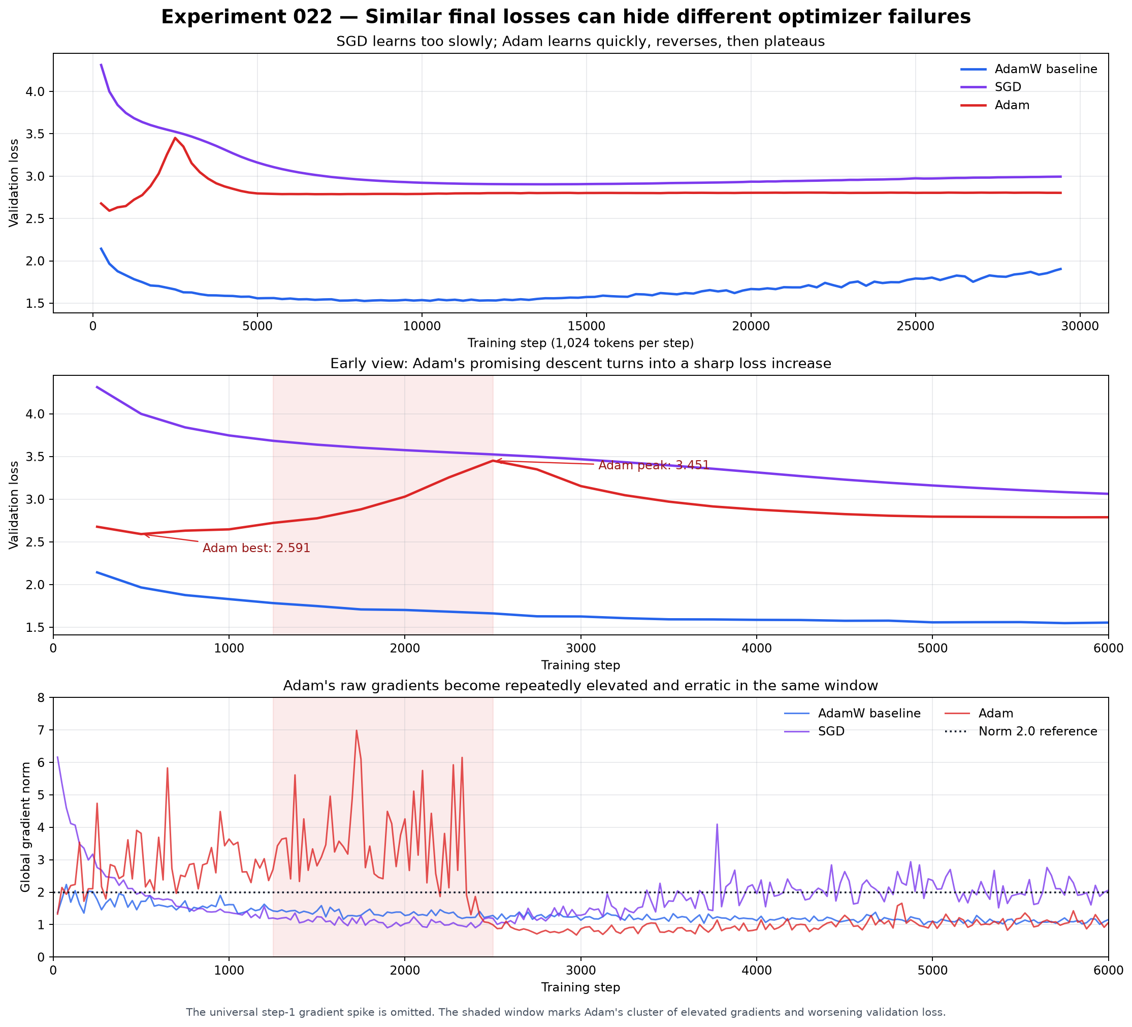 Validation curves and early gradient norms for AdamW, SGD, and coupled Adam