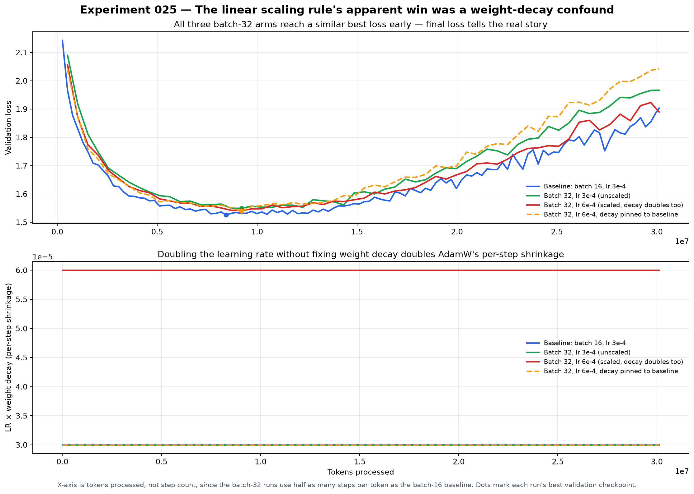 Validation curves for doubled batch size with and without scaled learning rate