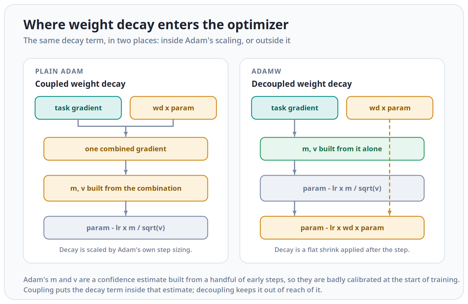In plain Adam the decay term joins the gradient before Adam scales it; in AdamW it is applied separately afterwards