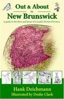 Out & About In New Brunswick