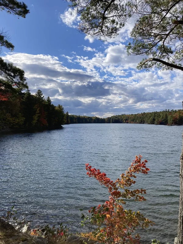 Secret Ontario Interior Spot