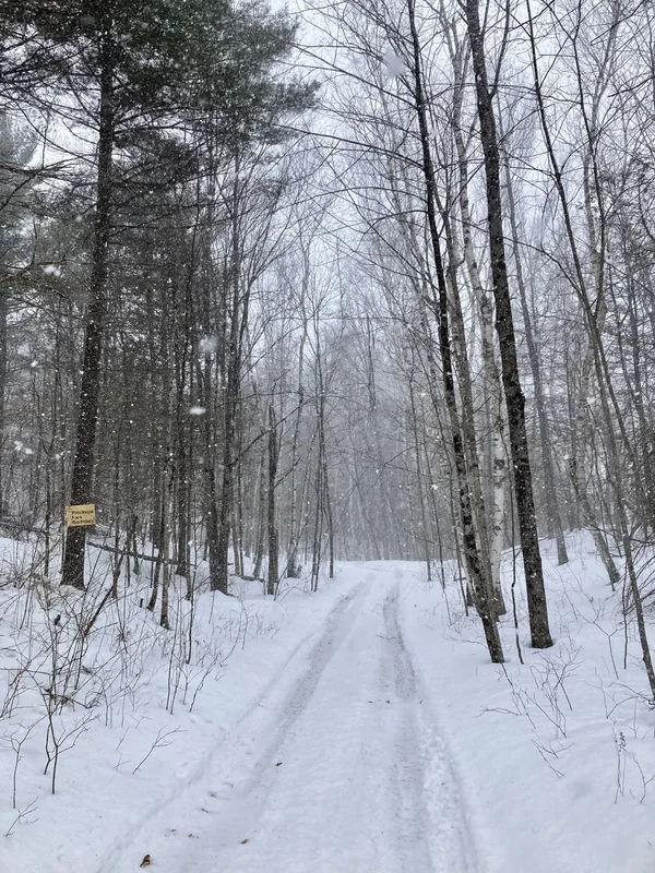 Secret Ontario Interior Spot
