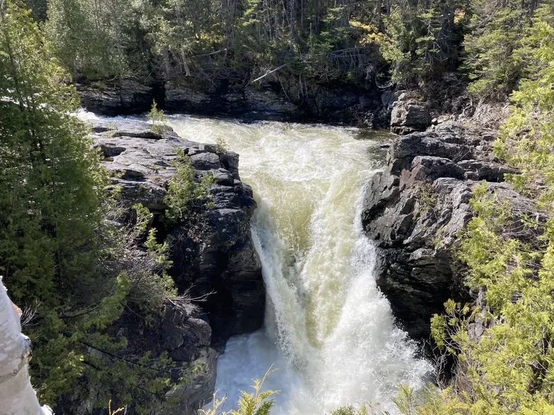 La Gaspésie Road Trip