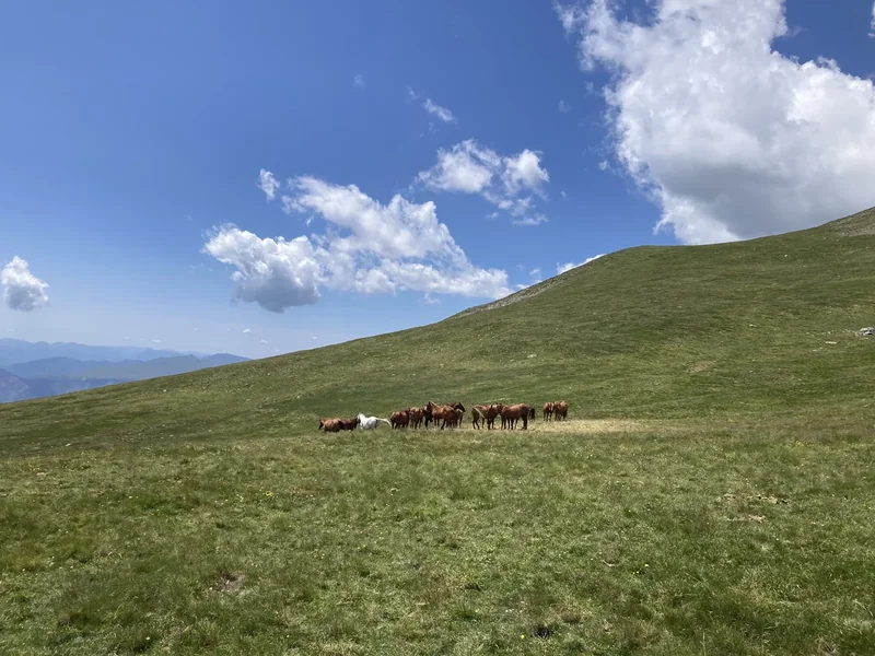 Mont Pépoiri, Mont Pétoumier, and Baus de la Frema