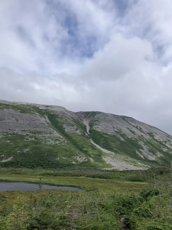 Gros Morne