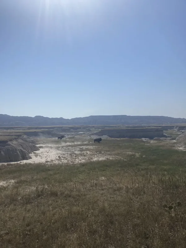 Badlands National Park