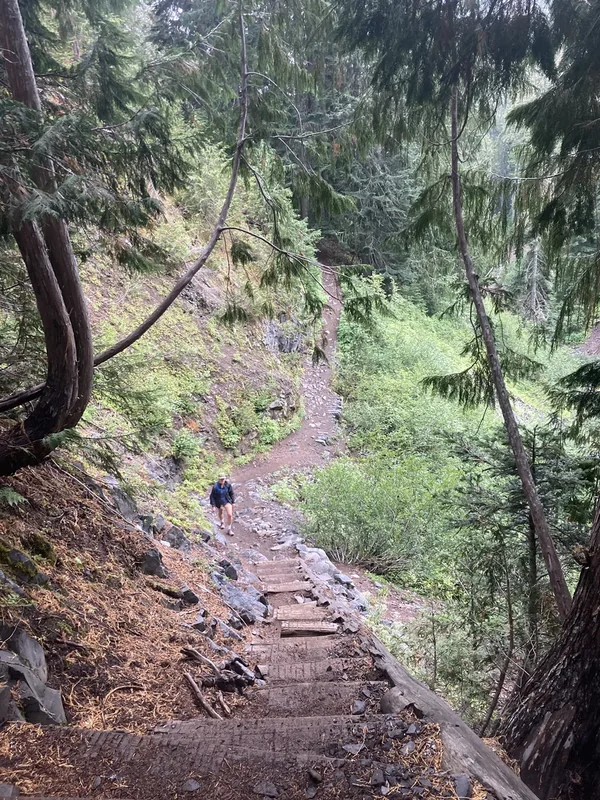 Mount Rainier Side Hike