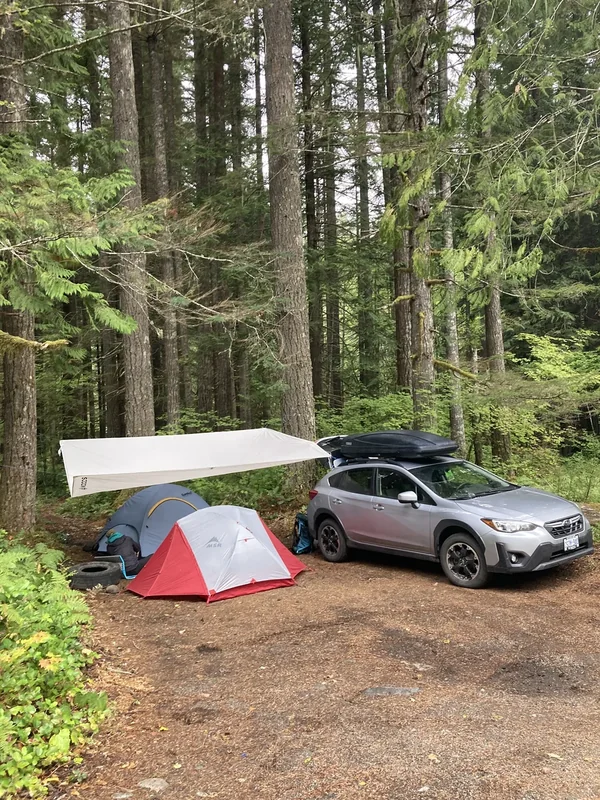 Mount Rainier Side Hike