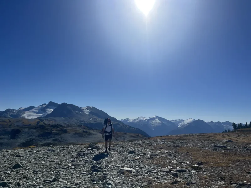 Whistler