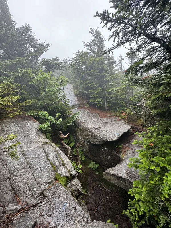 Mount Mansfield