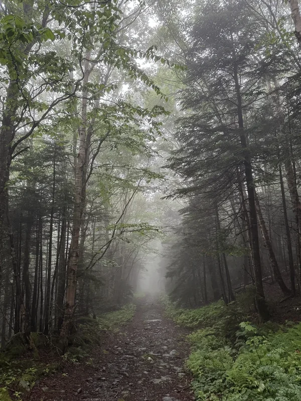 Mount Mansfield