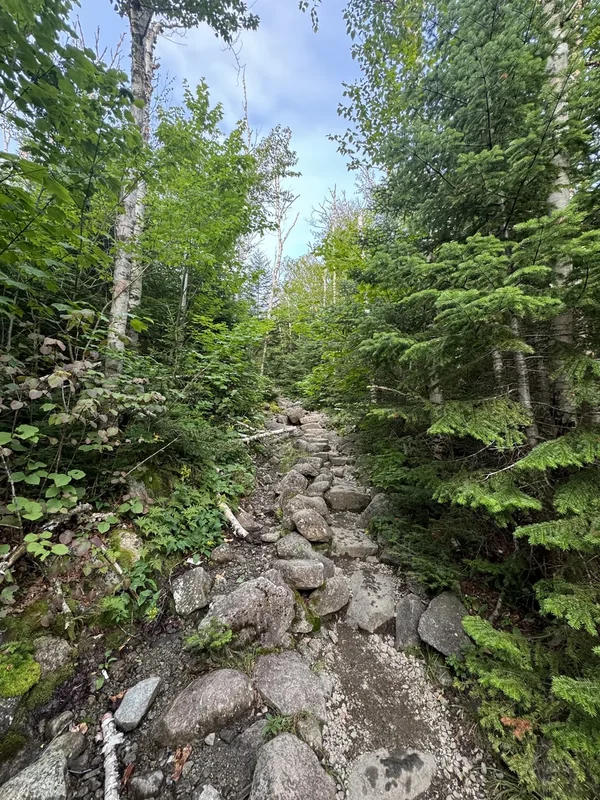 Algonquin, Iroquois, and Wright Peaks