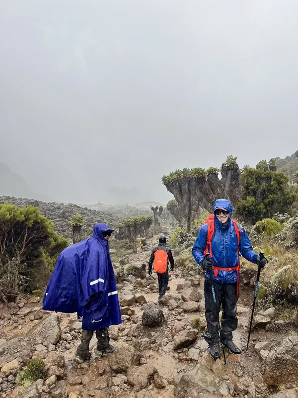 Mount Kilimanjaro