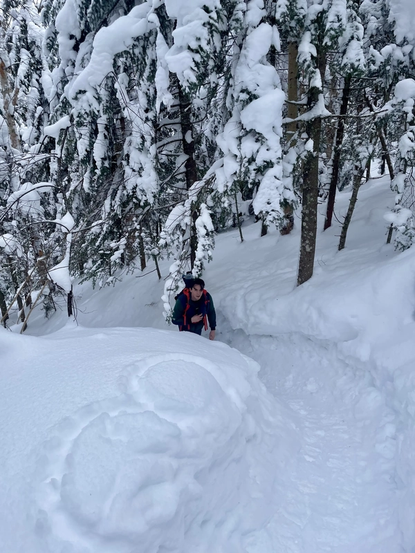 Street Mountain and Nye Mountain