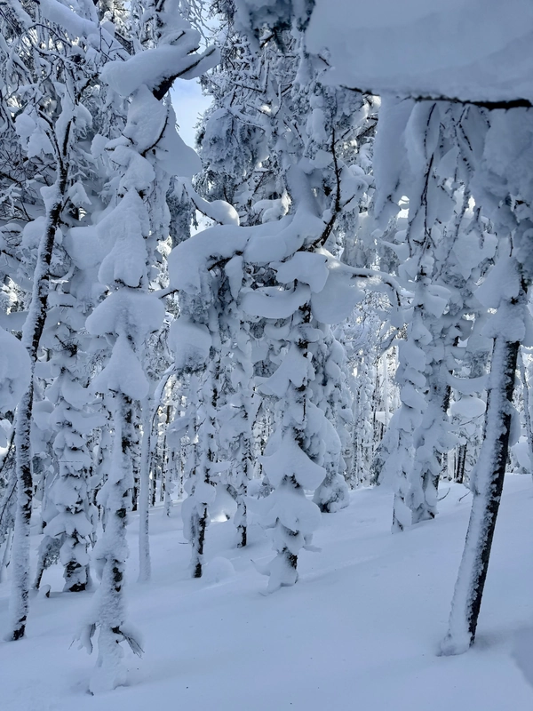 Street Mountain and Nye Mountain