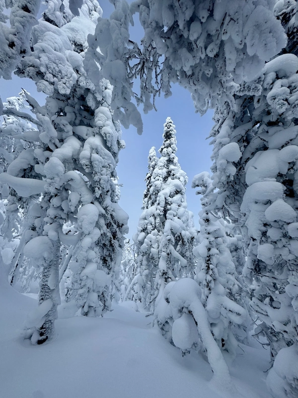 Street Mountain and Nye Mountain