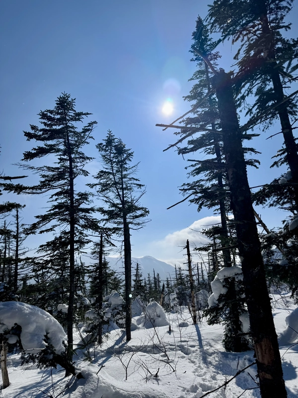 Street Mountain and Nye Mountain