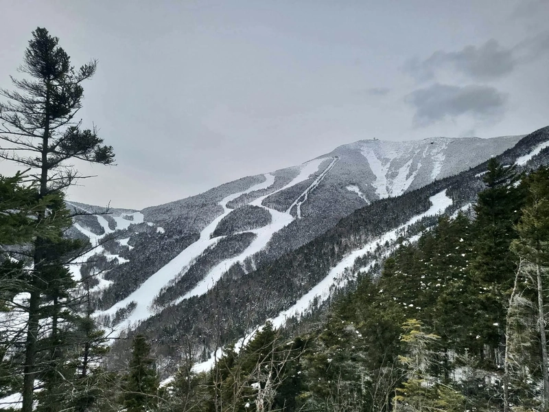 Whiteface, Lookout, and Esther Mountains