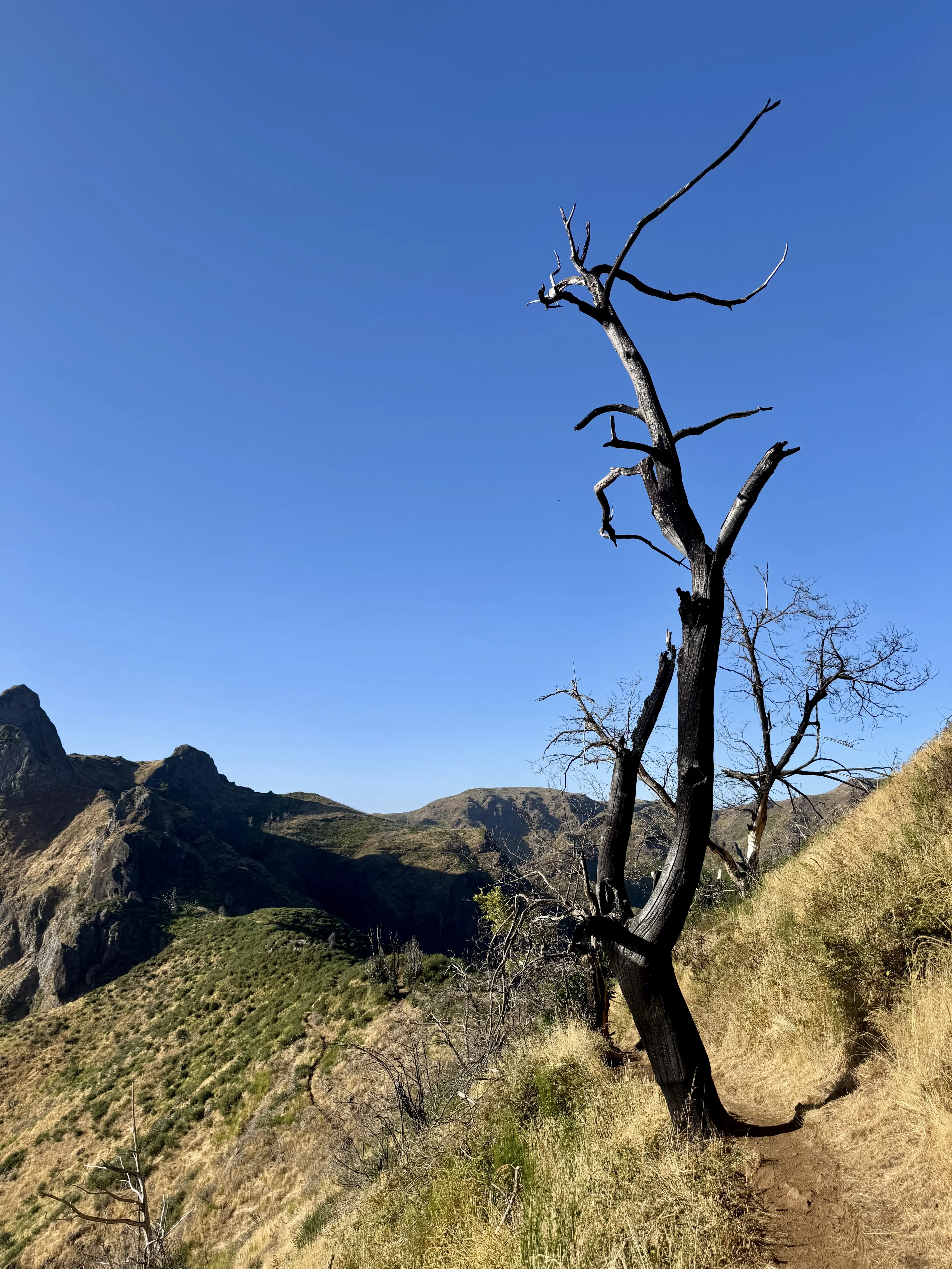 Pico Grande via Caminho Real da Encumeada (PR12)